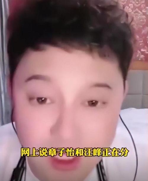 刘一飞直播爆料汪峰视频,揭秘背后惊人真相  第1张